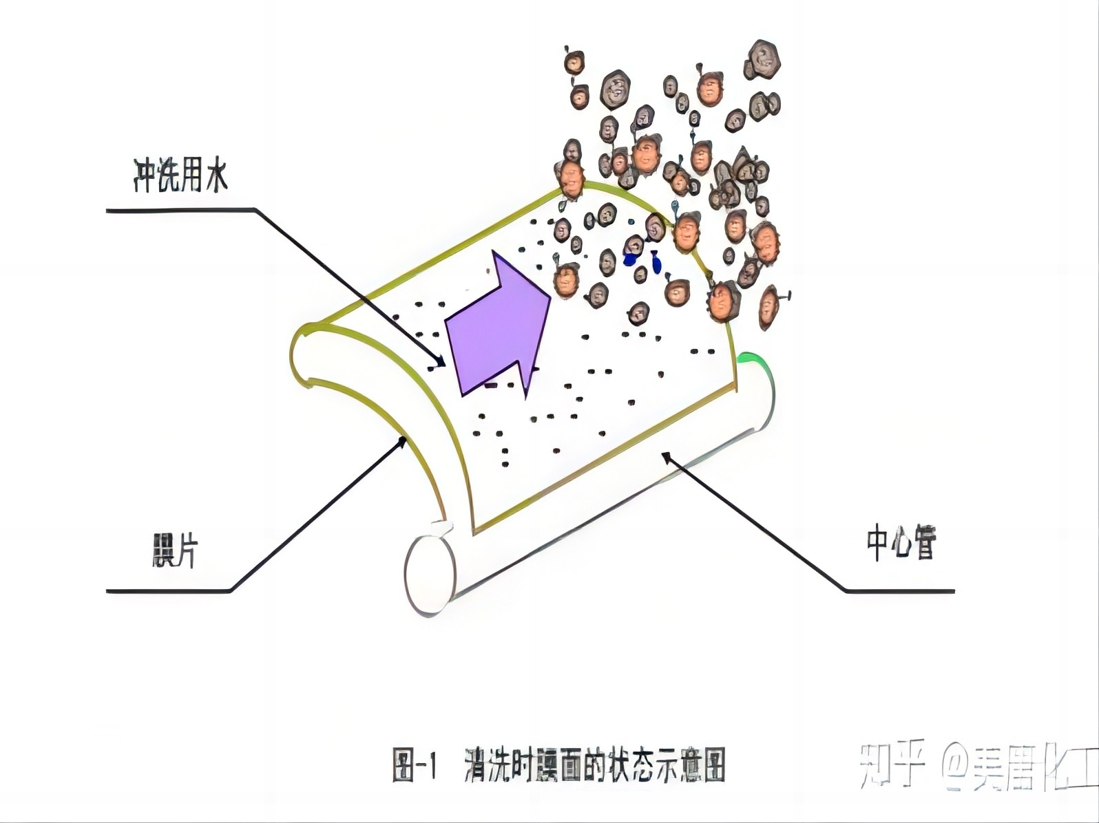 RO MEMBRANE